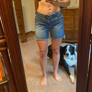 JCREW SHORTS